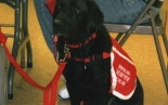 image11-jpg image11-jpg